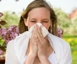 alergia 6